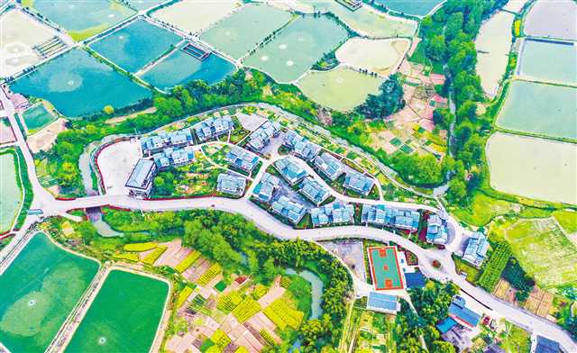 ������ƽ����·����ȫ����ʮ������ũ��·��