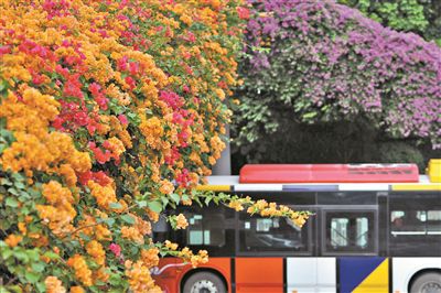 ������һĨ�{�ž�