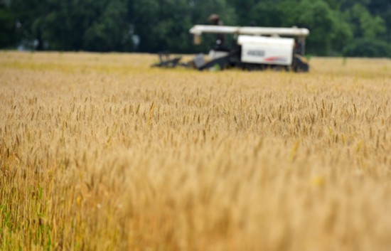 С������ջ��� ����ũ�������ո�æ