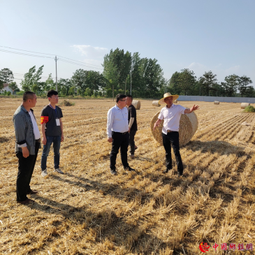 ���չų��򣺼�ί�ԡ��嵽���ٽ���