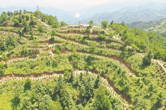 ��������б���裺���������µ��Ҹ�·