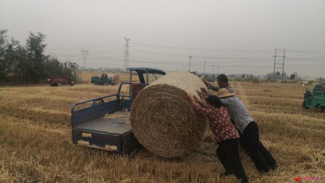 ���ո�����ׯ�����조�Ĳ�������ʵ�缾�ոѽ��չ���