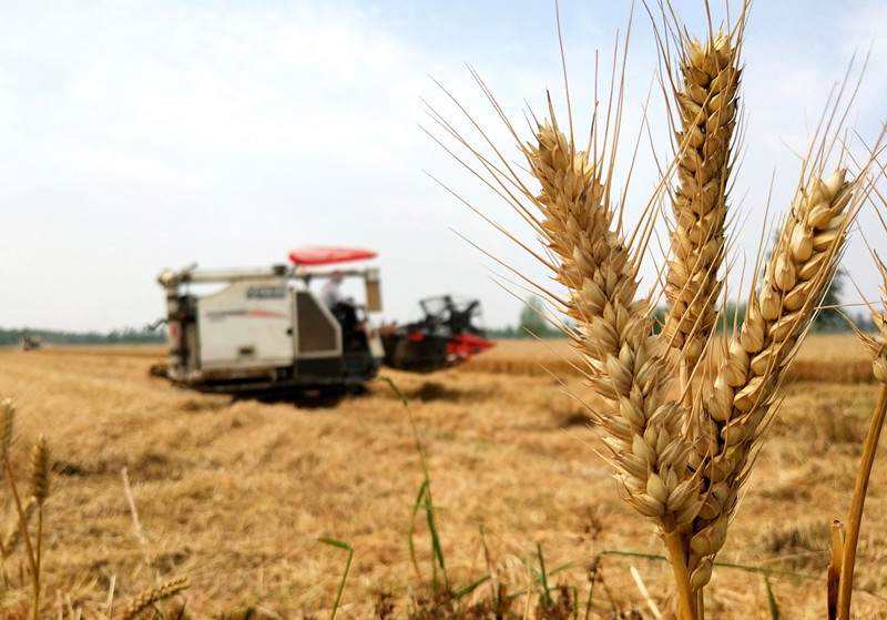 ɽ��۰�ǣ�һ���绰 ��������Ա�﹤�ӡ���ǰ���������