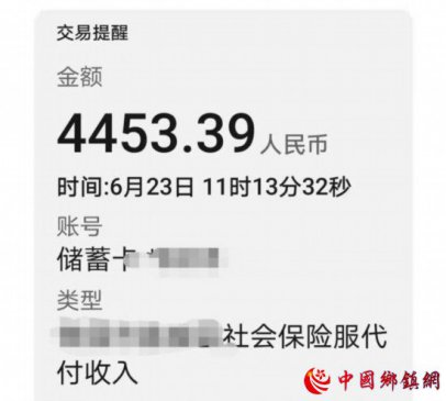31ʡϽȫϵ ˶Ǯ