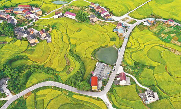 �������·