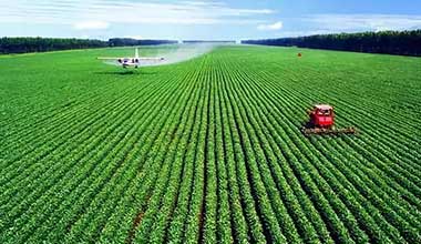 ��ʮ���塱��ũҵ��ɫ��չ���ˡ�Ӳ�ܸܡ�