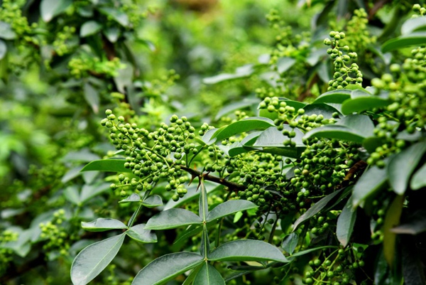 ���콭���û�����Ʈ��ȫ��