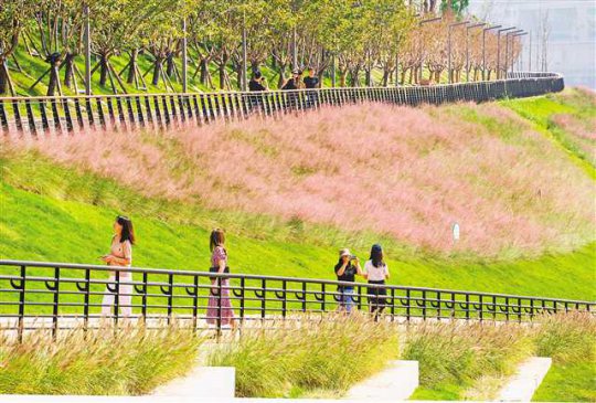 ���콭���콭̲��԰һ��Ͷ��