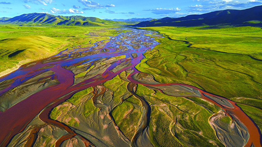 �ҹ���ʽ�����������ҹ�԰