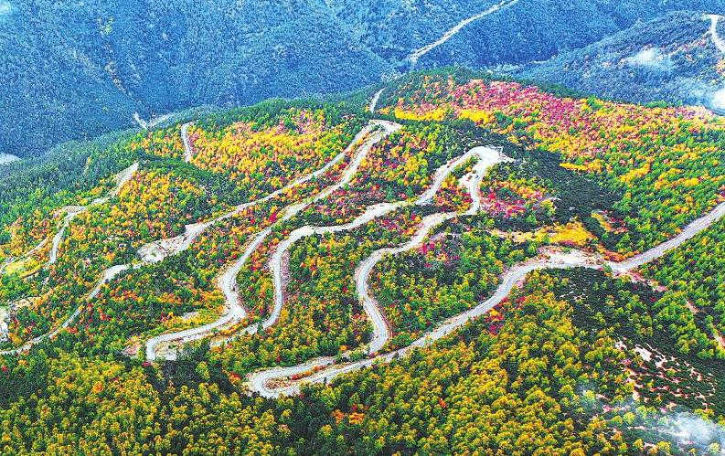 �����ݵ����������������ɽ��ɫ