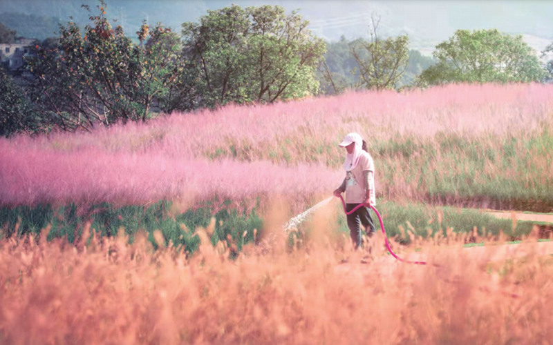 �����ξ� ����������