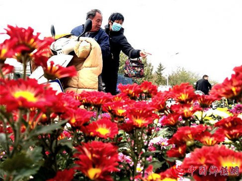 ۰�ǣ�ũ��ѡ���ʻ�����������������