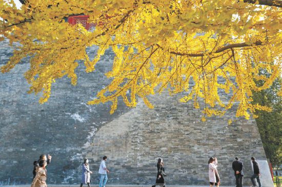 �����Ŷ� �����ﾰ