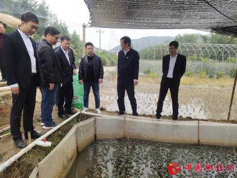 ��ұ���칫˾���³�������ʡ��Զ�ؿ�չ������˹�������