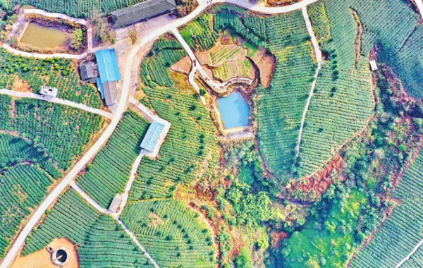 ��ɽ���¡���������԰