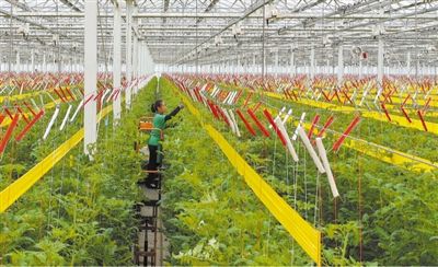 ũ��װ���ǻ۴��� ���������ǻ�����