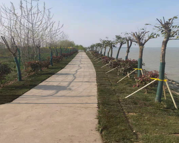 ���������߿�����彨��������̨��