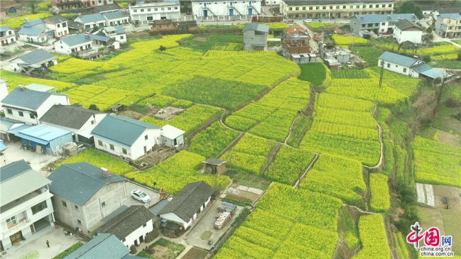 �Ĵ��ന���Ͳ˻��� ��������