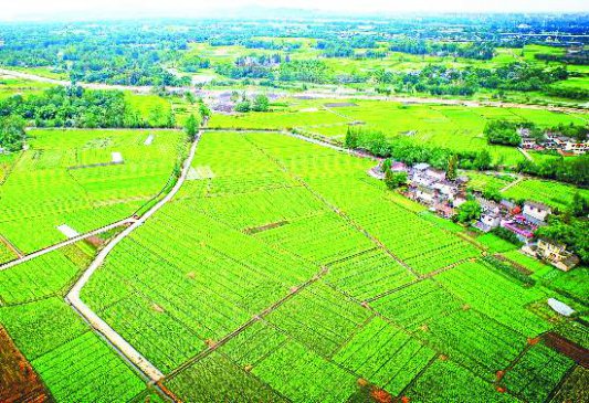 �ɶ���Ƹ��Ժʿ�����ֲˡ�