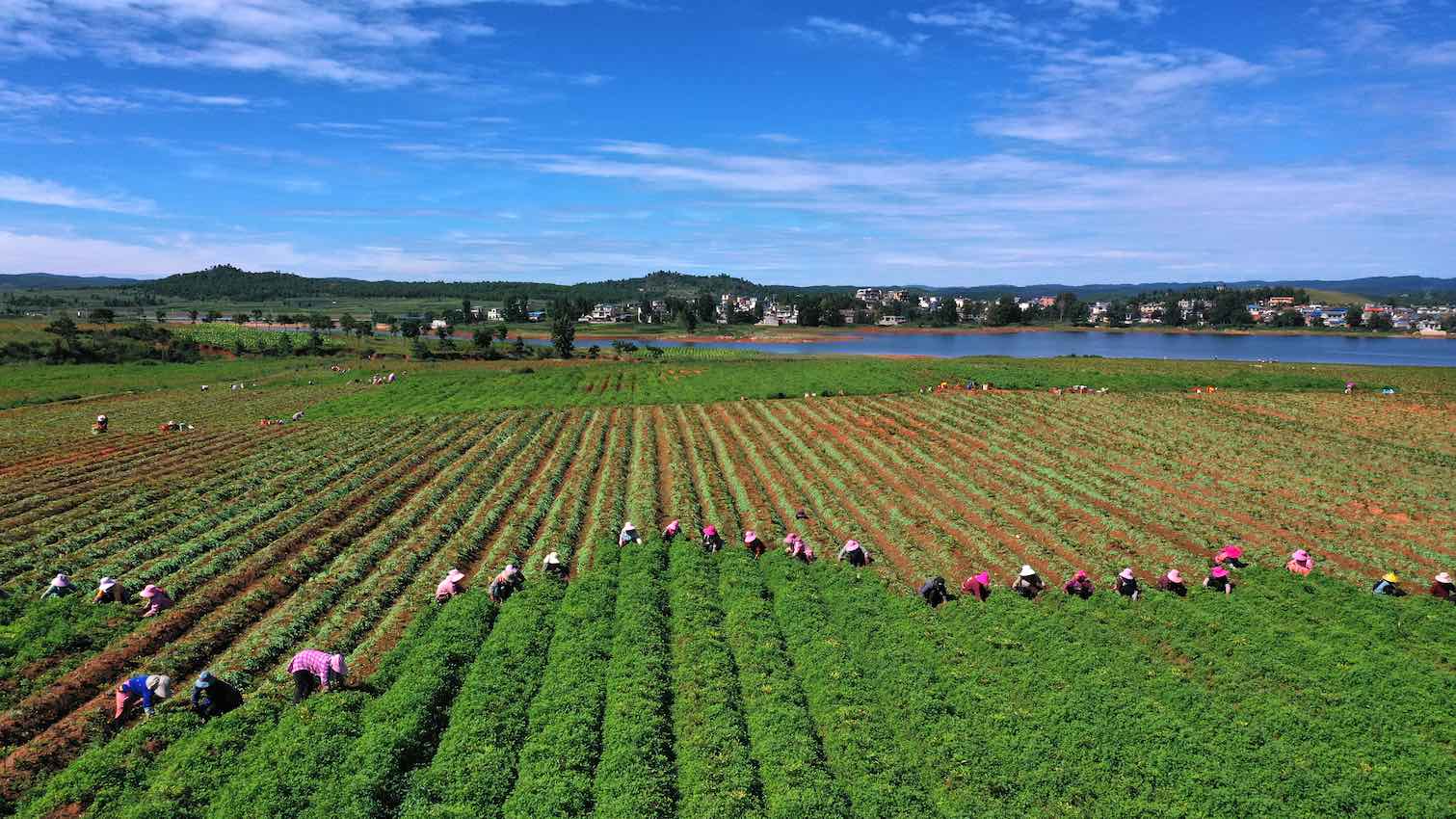 ���ϸ�Դ����Сħ��Ե�γ��ɽ�10�ڡ����ҵ��