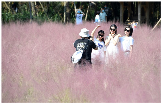 �С���ֵ���������С����ʡ� ������¡����ҵ��������չ�۲�