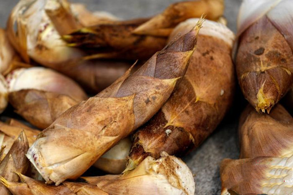 ������ء�����ɽ�񡱴����԰���á�