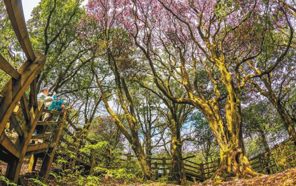 �ž�������