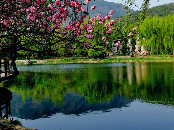 ����ֲ��԰�������ʻ���Ժ�� ��ɫ����������(ͼ)