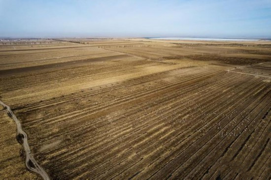 �������£��й��������ӡ��ܷ��ȵ�ס��