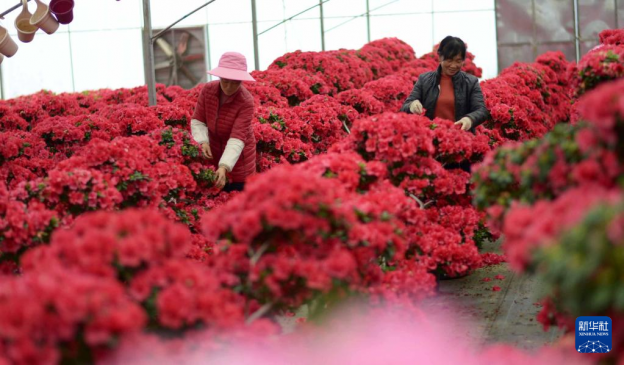 ����ɼƺ�壺��ũ���ںϡ������������