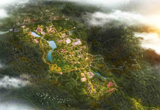 ����ֲ��԰����������θ����ƶ���������Ա�����