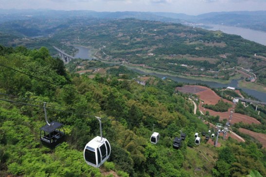 ���꣺���ĺ��С��������԰�¿�3��������