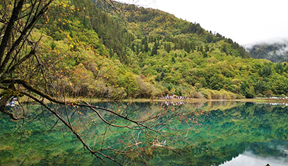 �Ĵ�ʡ����Ҿ����Ƴ��Żݴ�ʩ