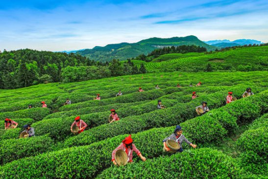 �ߴ�������Ʊ ȥ��¡��ʽ�������Լ�ݡ�