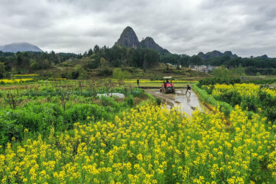 �����ǭ����������������ɫ��ɫ������������