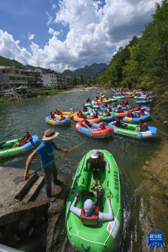 ���������壺��ɫ���������������