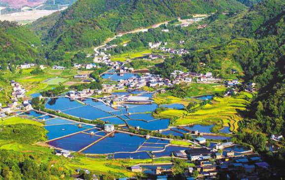 ���ղ�ú�� ����������