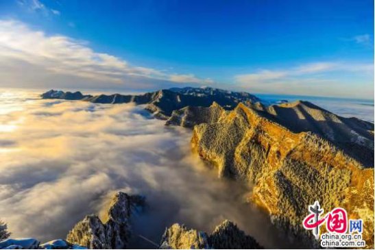 ���ĺ���ɽ����ɭ�ֹ�԰�Ƴ����ο���������ֵ��