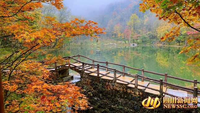 �ֵ���ɽ��Ҷʱ ��ȫ����������Ʒ������·