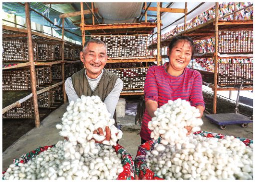 һֻ³¡˿· ǭɣҵչһ߹۲