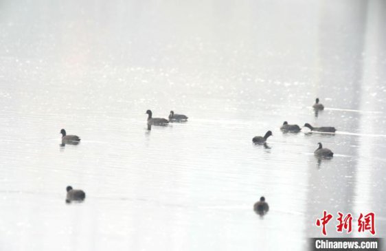 ���Ҷ�����������׹Ƕ�������������ɽ