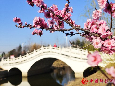 ɽ��۰�ǣ�̤���ͻ���ɫ��