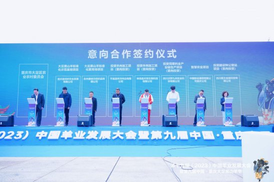 ʮŽ죨2023йҵչ㿪Ļ