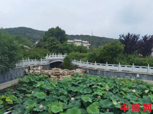 羰߶á