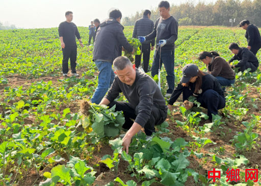 նԶɣ򣺿չũʱ ֡־Ը