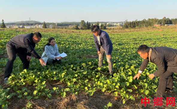 ũרҡ Զ9.2ĶͲ˴ϡ