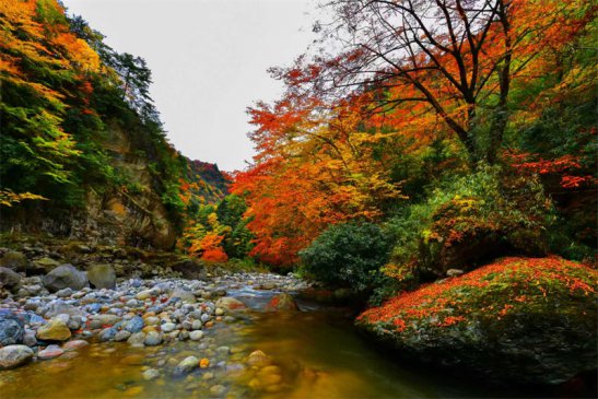 ƼҺӺҶ Ԫനƽ޾û