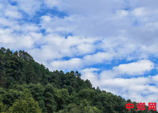四川成都:松涛蘸墨,绘就彭州龙门山的清凉诗章