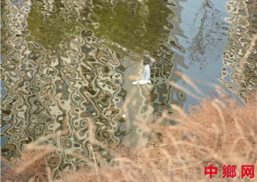 ���Ӱ��������� �����ڻ��ػ��������Ȼ��