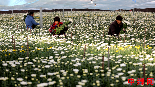 ���ܲ�ҵ ��ũ����